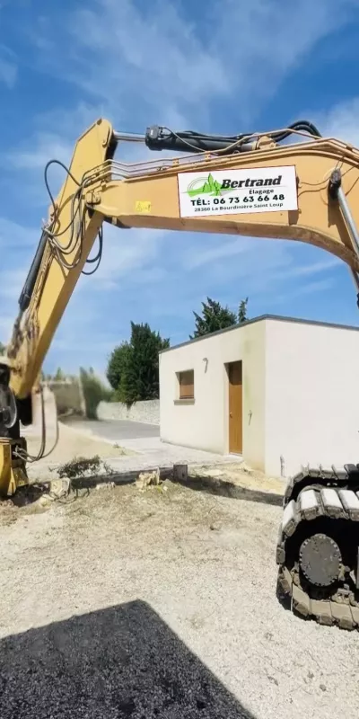 Abattage et dessouchage de tuyas