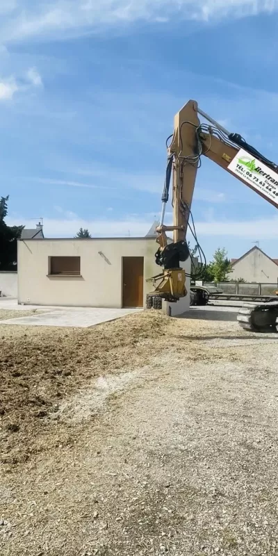 Abattage et dessouchage de tuyas